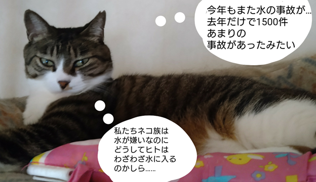 我が家のにゃんこ(*^^*) Super Smash Families - Heinous Road (Brutal) - No gacha